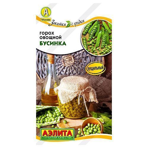 ����  ����� ������� ������, ������ �� 24 ���