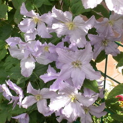 ����  �������� ��������������� �������� ����� (1-�����), ������ �� 599 ���