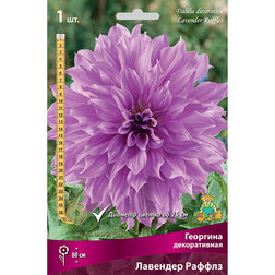 ����  �������� ������������ �������� ������, ������ �� 462 ���