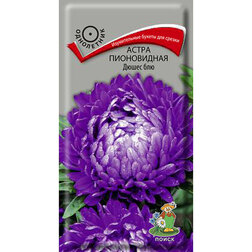 ����  ����� ����������� ����� ���, ������ �� 26 ���