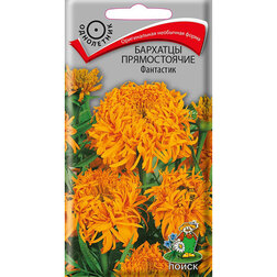 ����  �������� ������������ ���������, ������ �� 26 ���