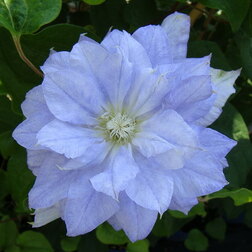 ����  �������� ��������������� ������, ������ �� 1339 ���