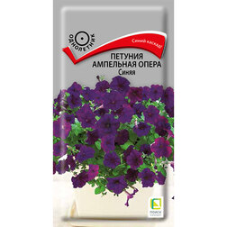 ����  ������� ��������� ����� �����, ������ �� 261 ���