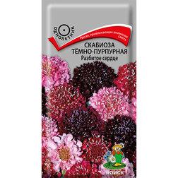 ����  �������� ����-��������� �������� ������, ������ �� 26 ���