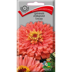 ����  ������ ������� �������, ������ �� 32 ���