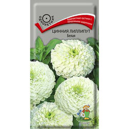 ����  ������ �������� �����, ������ �� 26 ���