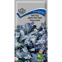 ����  ������ ���������� ������ ����, ������ �� 30 ���