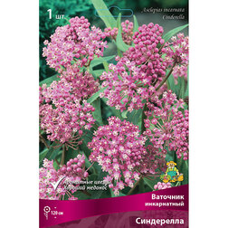 ����  �������� ����������� ����������, ������ �� 266 ���