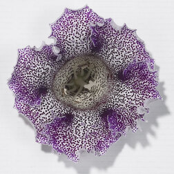 ����  ��������� ������� ����� ������ (1��-100�����) ���������������� ������, ������ �� 880 ���