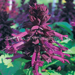 ����  ������� ����� ����� (1��-100��) ���������������� ������, ������ �� 352 ���