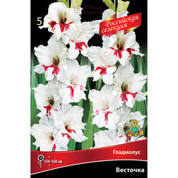 ����  ��������� �������� (5 ��.), ������ �� 595 ���