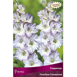 ����  �������� ���������� ������� �������� (5 ��.), ������ �� 595 ���