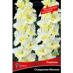 ����  ��������� �������� ������ (5 ��.), ������ �� 595 ���