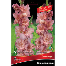 ����  ��������� ����������� (5 ��.), ������ �� 637 ���