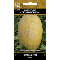 ����  ���� ��������, ������ �� 33 ���