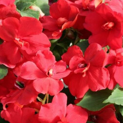 ����  ��������� �������� ����� ��� (1��-250��) ���������������� ������, ������ �� 3280 ���