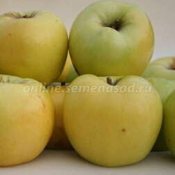 ����  ������ ��������� ������������ (������ ��������) (� �����), ������ �� 648 ���