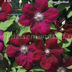 ����  ������� ��������� ���������������� ��� ��������, ������ �� 599 ���