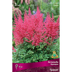 ����  �������� ������� (������), ������ �� 263 ���