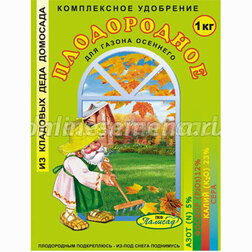 ����  ����������� ��������� ����������� �����-����� (1��) 