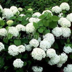 ����  ��������� ����������� �����������, ������ �� 671 ���