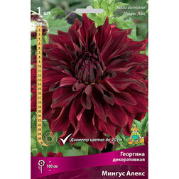 ����  �������� ������������ ������ �����, ������ �� 462 ���