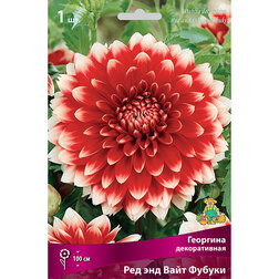 ����  �������� ������������ ��� ��� ���� ������ (1 ��.), ������ �� 583 ���