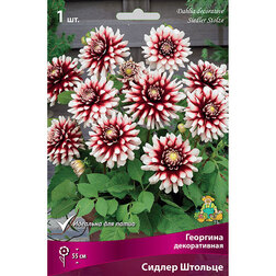 ����  �������� ������������ ������ ������� (1 ��.), ������ �� 421 ���