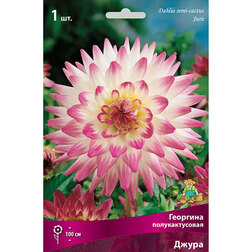 ����  �������� �������������� �����, ������ �� 433 ���