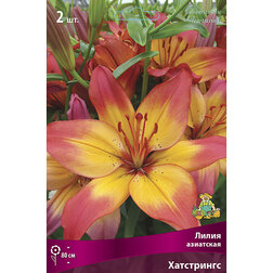 ����  ����� ��������� ���������� (2 ��.), ������ �� 394 ���