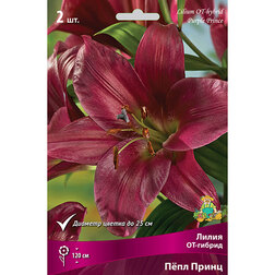 ����  ����� ��-������ ϸ�� ����� (2 ��.), ������ �� 319 ���