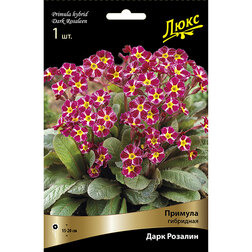 ����  ������� ��������� ���� �������*, ������ �� 637 ���