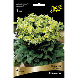 ����  ������� ��������� ���������*, ������ �� 586 ���