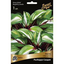 ����  ����� ��������� �������� ������*, ������ �� 634 ���