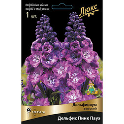 ����  ���������� ������� ������� ���� ����*, ������ �� 623 ���