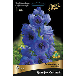 ����  ���������� ������� ������� ��������*, ������ �� 623 ���