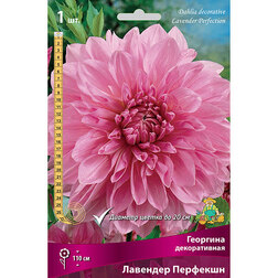 ����  �������� ������������ �������� �������� (1 ��.), ������ �� 433 ���