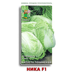 ����  ������� ��������� ���� F1, ������ �� 29 ���