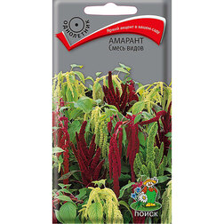 ����  ������� ����� �����, ������ �� 30 ���