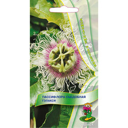 ����  ���������� ��������� �������, ������ �� 63 ���