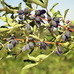 ����  ��������� ��������� ������, ������ �� 349 ���