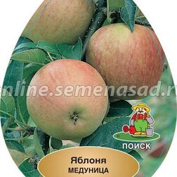     ( 54-118, ) ( ),   648 