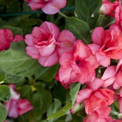 ����  ��������� �������� ����� ����� ���� (1��-100��) ���������������� ������, ������ �� 1360 ���