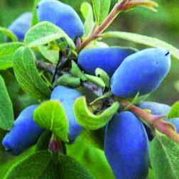 ����  ��������� ��������� ������, ������ �� 349 ���