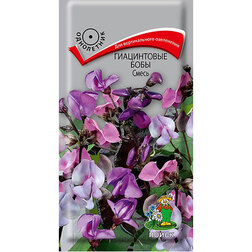 ����  ����������� ���� �����, ������ �� 31 ���