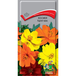 ����  ������ ������ ����, ������ �� 26 ���