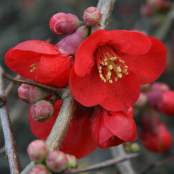 ����  ���� ������������ ���� ����, ������ �� 586 ���