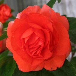 ����  ��������� �������� ����� ����� (1��-100��) ���������������� ������, ������ �� 1360 ���