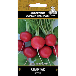 ����  ����� �������, ������ �� 30 ���