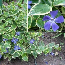 ����  �������� ������� ��������, ������ �� 408 ���